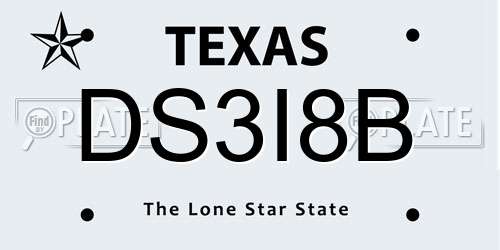 DS3I8B Texas License Plate