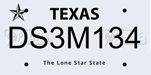 DS3M134 Texas License Plate