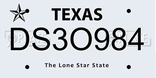 DS3O984 Texas License Plate