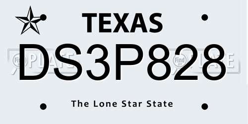 DS3P828 Texas License Plate