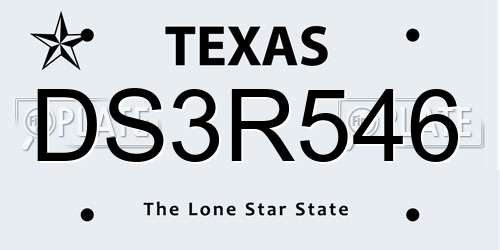 DS3R546 Texas License Plate