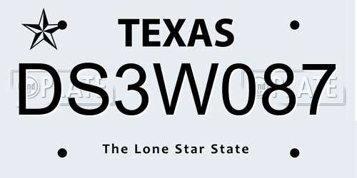 DS3W087 Texas License Plate