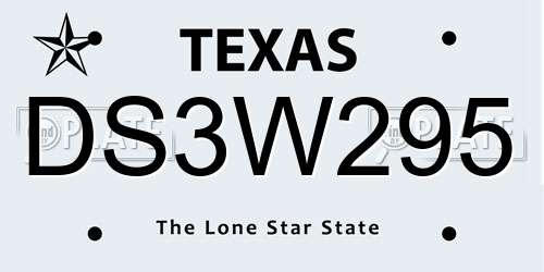 DS3W295 Texas License Plate