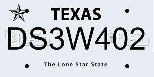 DS3W402 Texas License Plate