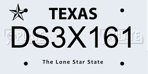 DS3X161 Texas License Plate