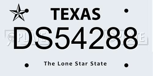 DS54288 Texas License Plate