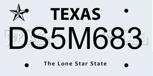 DS5M683 Texas License Plate