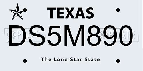 DS5M890 Texas License Plate