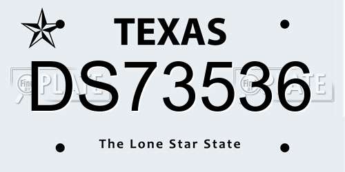 DS73536 Texas License Plate