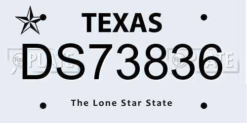 DS73836 Texas License Plate