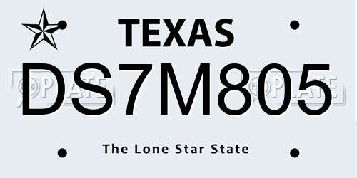 DS7M805 Texas License Plate