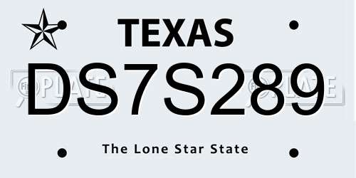 DS7S289 Texas License Plate
