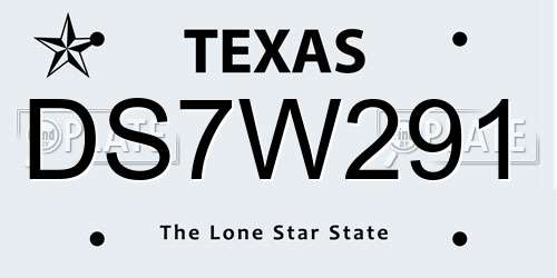 DS7W291 Texas License Plate