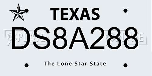 DS8A288 Texas License Plate