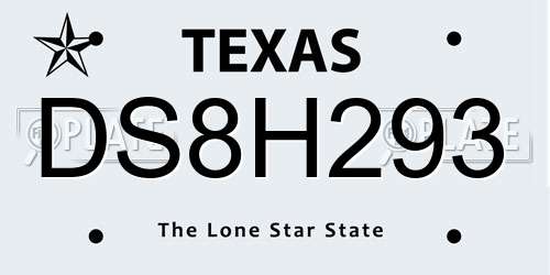 DS8H293 Texas License Plate