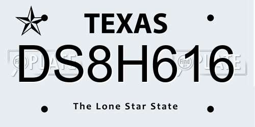 DS8H616 Texas License Plate