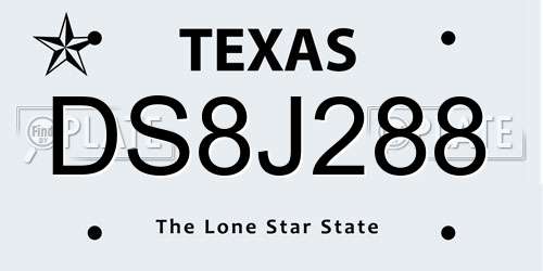 DS8J288 Texas License Plate