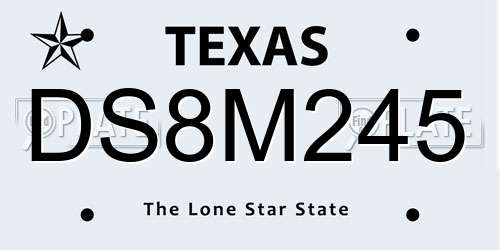 DS8M245 Texas License Plate