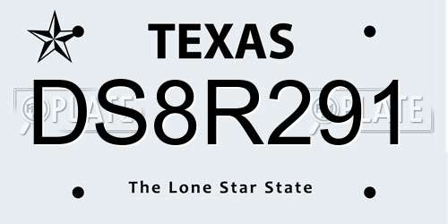DS8R291 Texas License Plate