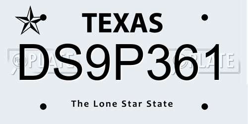 DS9P361 Texas License Plate