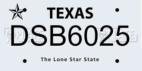 DSB6025 Texas License Plate