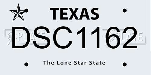 DSC1162 Texas License Plate