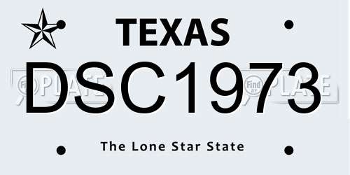 DSC1973 Texas License Plate