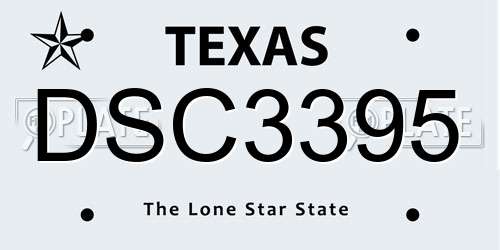 DSC3395 Texas License Plate