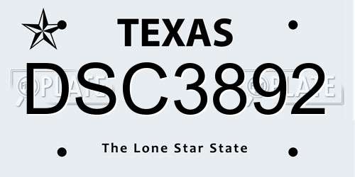 DSC3892 Texas License Plate