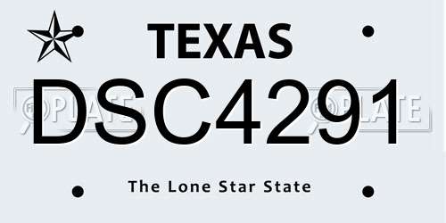DSC4291 Texas License Plate