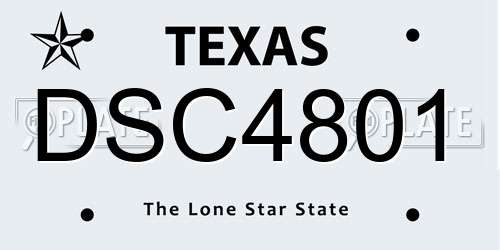 DSC4801 Texas License Plate