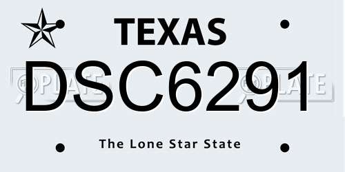 DSC6291 Texas License Plate