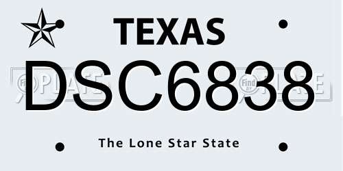 DSC6838 Texas License Plate