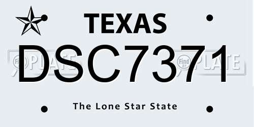 DSC7371 Texas License Plate