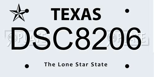 DSC8206 Texas License Plate
