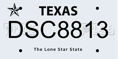 DSC8813 Texas License Plate