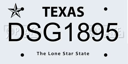 DSG1895 Texas License Plate