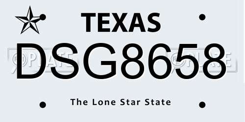 DSG8658 Texas License Plate