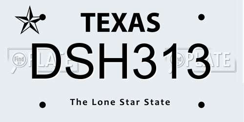 DSH313 Texas License Plate
