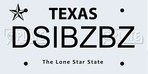 DSIBZBZ Texas License Plate