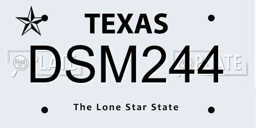 DSM244 Texas License Plate