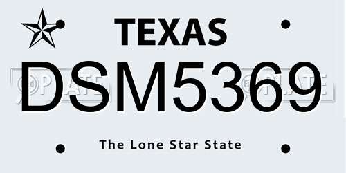DSM5369 Texas License Plate