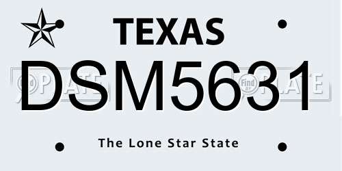 DSM5631 Texas License Plate