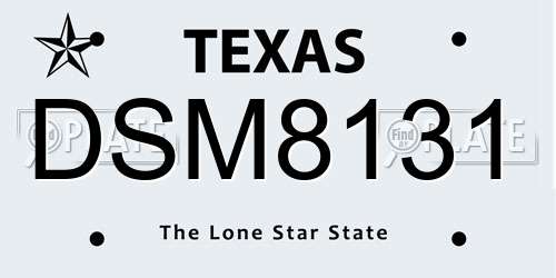 DSM8131 Texas License Plate
