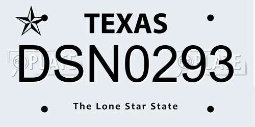 DSN0293 Texas License Plate