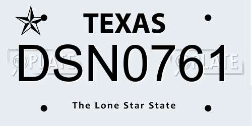 DSN0761 Texas License Plate