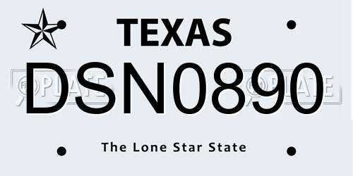 DSN0890 Texas License Plate