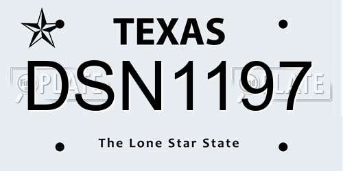 DSN1197 Texas License Plate