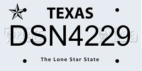 DSN4229 Texas License Plate