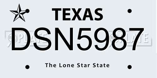 DSN5987 Texas License Plate